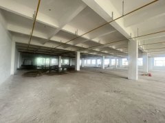 (出租)荆州市包装制品有限公司，厂房全新，工业用地