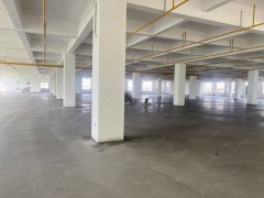 (出租)荆州市包装制品有限公司，厂房全新，工业用地